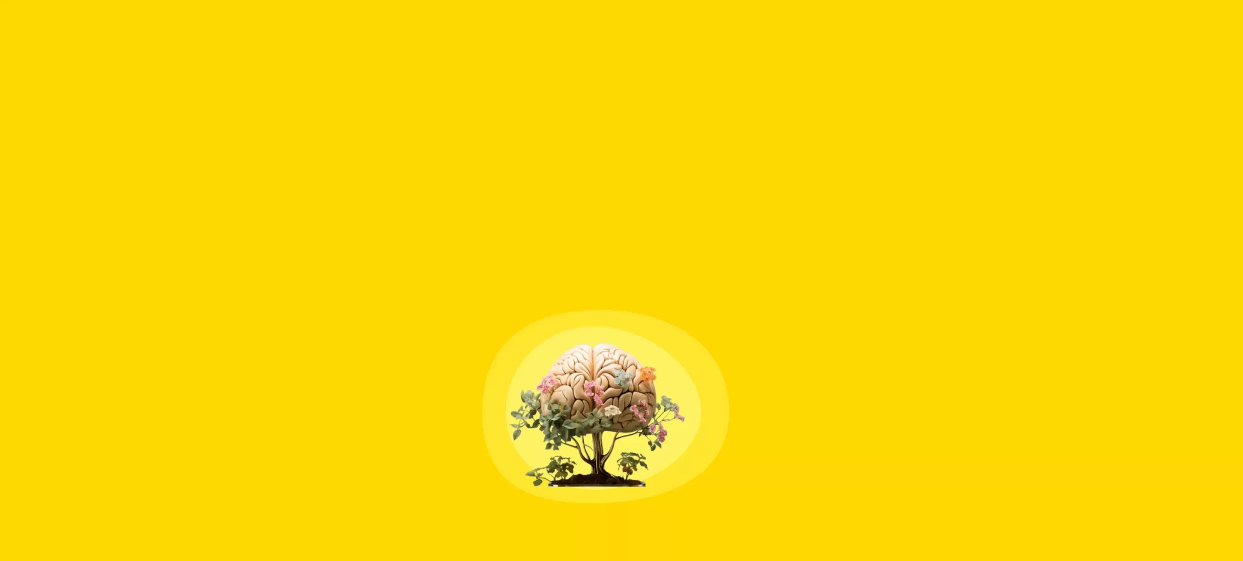سکوی پرتاب